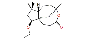 Rumphellclovane C